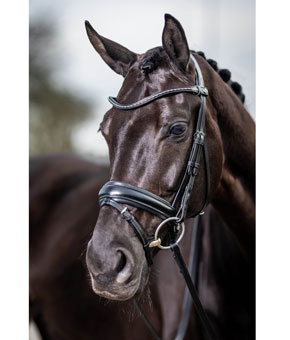 LeMieux Classic Dressage Bridle Black