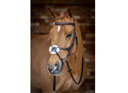 LeMieux Grackle Bridle Havana