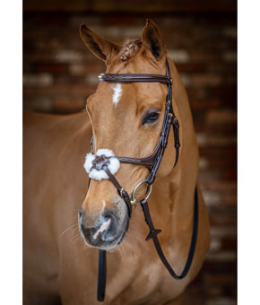 LeMieux Grackle Bridle Havana