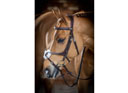 LeMieux Grackle Bridle Havana