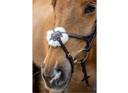 LeMieux Grackle Bridle Havana