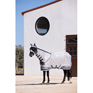LeMieux Arika Armour-Tek Fly Rug