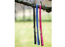 LeMieux Henley Bungee Dog Lead Black