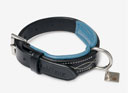 LeMieux Windsor Dog Collar Black/Ice Blue