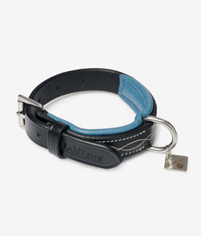 LeMieux Windsor Dog Collar Black/Ice Blue