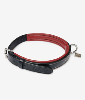 LeMieux Windsor Dog Collar Black/Burgundy