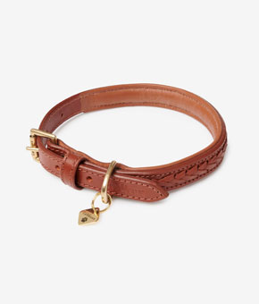 LeMieux Oxford Dog Collar Tan