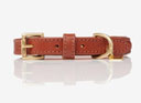 LeMieux Oxford Dog Collar Tan