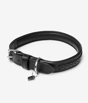 LeMieux Oxford Dog Collar Black