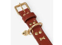 LeMieux Chelsea Dog Collar Tan