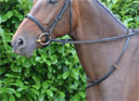 Hy Leather Neck Strap