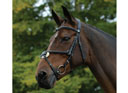 Collegiate ComFiTec Grackle Bridle Black