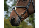 Collegiate ComFiTec Grackle Bridle Black