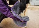 Henry Wag Equine Noodle Glove Towel