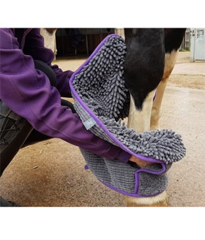Henry Wag Equine Noodle Glove Towel Henry Wag Equine Noodle Glove Towel