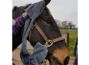 Henry Wag Equine Microfibre Glove Towel