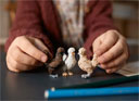 Schleich Chicken Friends