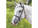 Shires Velociti GARA Stitched Inhand Bridle Havana