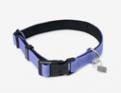 LeMieux Henley Dog Collar Bluebell