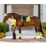 LeMieux Loire Polo Bandages - Kiwi