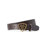 Ariat Sheild Belt - Cocoa