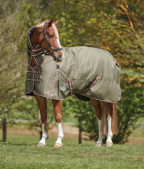 Weatherbeeta ComFiTec Essential Combo Medium Olive Weatherbeeta ComFiTec Essential Combo Medium Olive