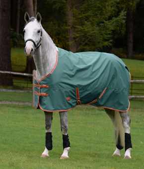 Weatherbeeta Tyro Lite Plus 50g Standard Neck Turnout Weatherbeeta Tyro Lite Plus 50g Standard Neck Turnout