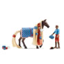 Schleich Starter Set Leo & Rocky