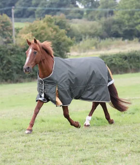 Shires Highlander Plus 50 Turnout Rug - Green