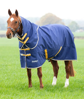Shires Tempest 50g Turnout Rug & Neck Set Navy Shires Tempest 50g Turnout Rug & Neck Set Navy