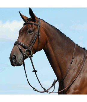 Collegiate Syntovia Plain Running Martingale Brown Collegiate Syntovia Plain Running Martingale Brown