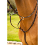 LeMieux Arika Running Martingale Brown