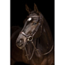LeMieux Arika Drop Noseband Bridle Brown