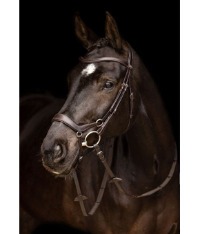 LeMieux Arika Drop Noseband Bridle Brown LeMieux Arika Drop Noseband Bridle Brown
