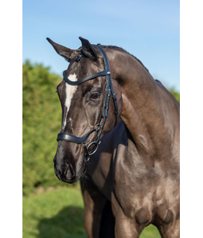 LeMieux Arika Drop Noseband Bridle Black LeMieux Arika Drop Noseband Bridle Black
