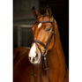 LeMieux Arika Flash Noseband Bridle Brown
