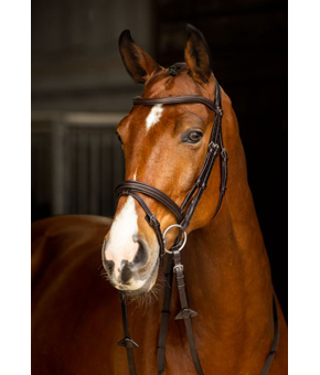 LeMieux Arika Flash Noseband Bridle Brown LeMieux Arika Flash Noseband Bridle Brown