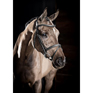 LeMieux Arika Flash Noseband Bridle Black