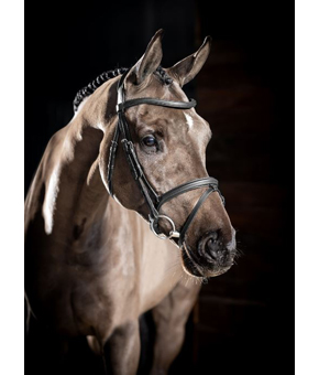 LeMieux Arika Flash Noseband Bridle Black LeMieux Arika Flash Noseband Bridle Black