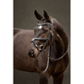 LeMieux Arika Grackle Bridle Black