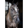 LeMieux Arika Dressage Bridle Black