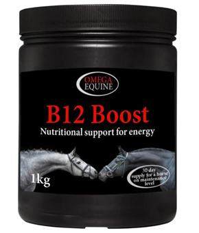 Omega Equine B12 Boost Powder Omega Equine B12 Boost Powder