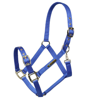 Shires ARMA Adjustable Headcollar - Blue Shires ARMA Adjustable Headcollar - Blue