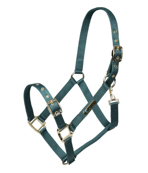 Shires ARMA Adjustable Headcollar - Green Shires ARMA Adjustable Headcollar - Green