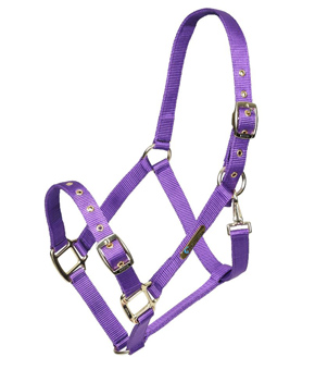 Shires ARMA Adjustable Headcollar - Purple Shires ARMA Adjustable Headcollar - Purple