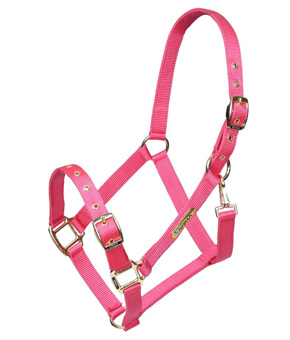 Shires ARMA Adjustable Headcollar - Pink Shires ARMA Adjustable Headcollar - Pink