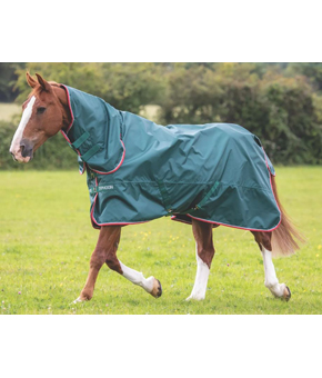Shires Typhoon Lite Combo Turnout Rug - Green Shires Typhoon Lite Combo Turnout Rug - Green