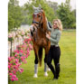 LeMieux Classic Fly Hood - Fern