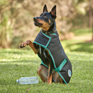 Weatherbeeta GREEN-TEC 900D Dog Coat Lite Plus