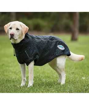 Weatherbeeta ComFiTec Reflective Print Active Dog Coat Weatherbeeta ComFiTec Reflective Print Active Dog Coat
